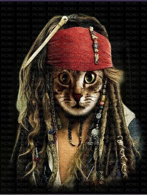 pirate cat - PNG gratuit