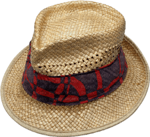 maj chapeau - безплатен png