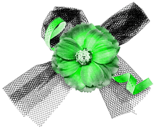 Flower.Bow.Ribbon.Black.Green - безплатен png