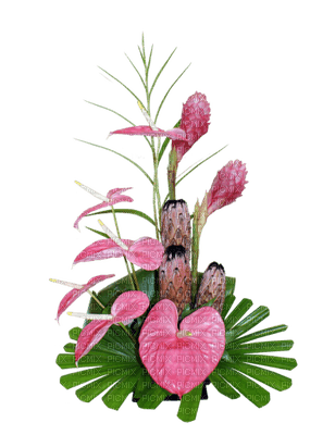 Kaz_Creations Deco Flowers Flower Colours Plant Vase - PNG gratuit