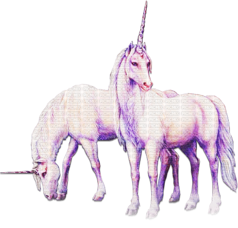 soave animals unicorn tree fantasy deco couple - png gratis