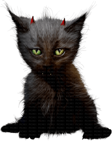 halloween cat by nataliplus - darmowe png