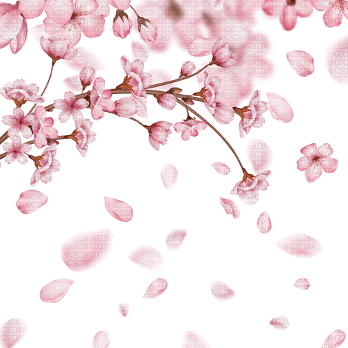 spring blossom - gratis png