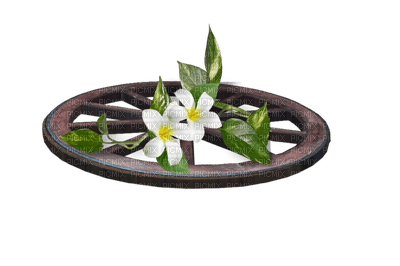 garden anastasia - PNG gratuit
