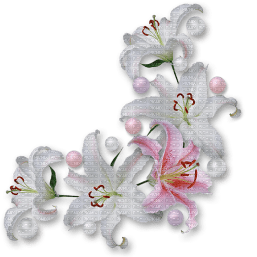 Kaz_Creations Flowers-Fleurs-Deco - Free PNG