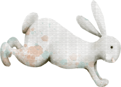 Kaz_Creations Animals Rabbit Hare - gratis png