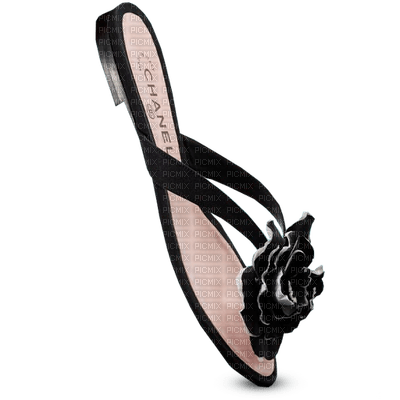 black shoes-noires chaussures-scarpe nere-svarta skor-minou - PNG gratuit