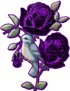 fleur oiseau - GIF animado gratis