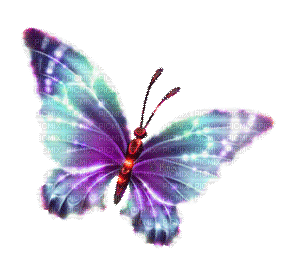 Y.A.M._Fantasy butterfly - Gratis geanimeerde GIF