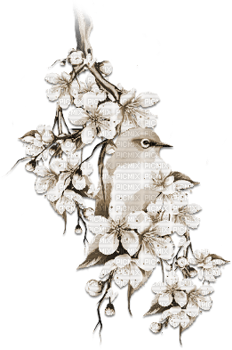 soave deco flowers branch bird spring vintage - Free PNG