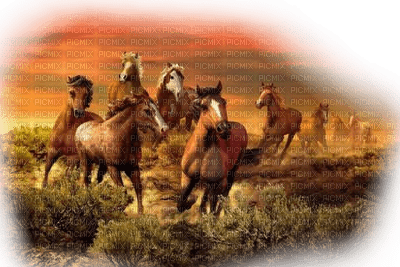 LOLY33 CHEVAL - kostenlos png