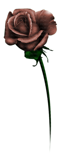 autumn deco kikkapink png brown rose flower - ilmainen png