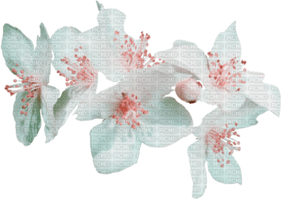flowers by nataliplus - δωρεάν png