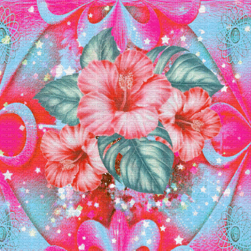 BG /   summer.flowers.anim..pink.turkish.idca - GIF animado grátis
