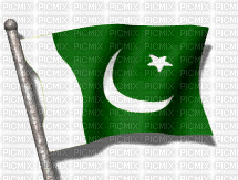 Pakistan Flag - Gratis animerad GIF