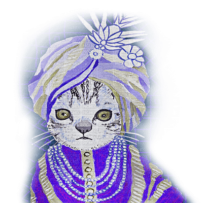 chat cat - kostenlos png