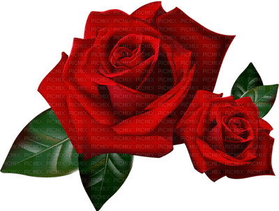 rosas - бесплатно png