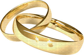 Kaz_Creations Wedding Rings - png gratuito