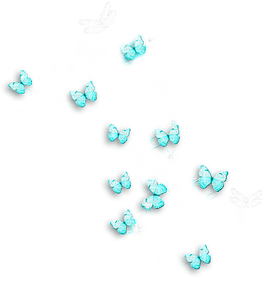 soave deco butterfly teal - png grátis