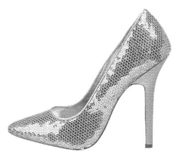 silver shoe - nemokama png