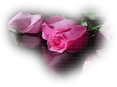 rose rose.Cheyenne63 - darmowe png