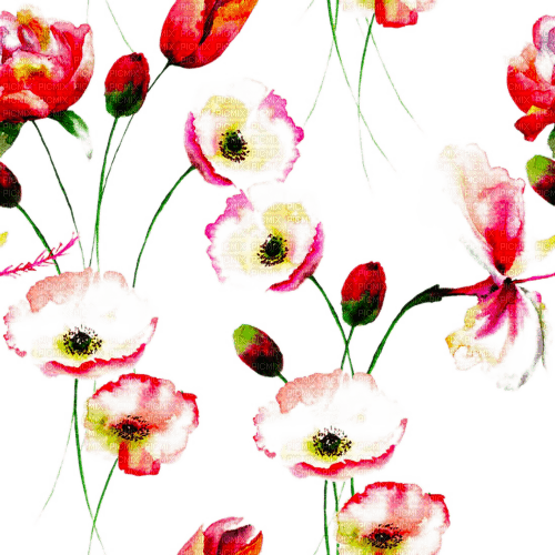 Y.A.M._Vintage Summer Flowers Decor - 無料png