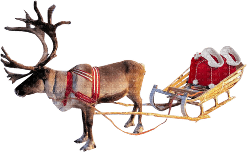 Christmas reindeer sunshine3 - nemokama png
