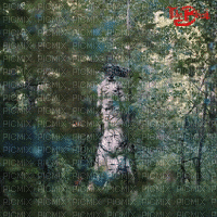 Background In the Woods - GIF animé gratuit