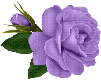 Kaz_Creations Deco Flower Colours Flowers - δωρεάν png