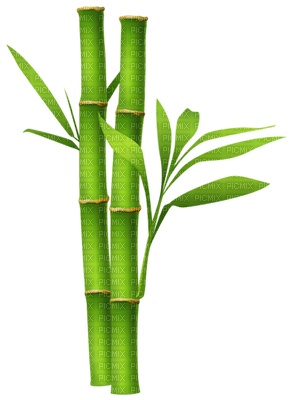 Kaz_Creations Deco Bamboo - besplatni png