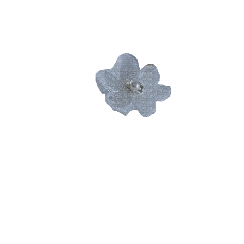 virág - Безплатен анимиран GIF