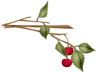 Cerisier arbre cerise feuille Debutante branche - безплатен png