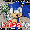 these flowers are for you kiss now gimme my sonic - GIF animé gratuit