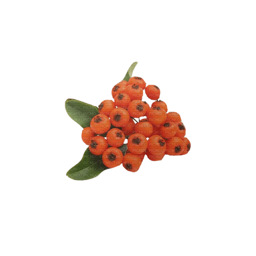 kikkapink deco scrap deco red flowers - безплатен png