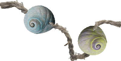 fond beach sea shellfish - Безплатен анимиран GIF