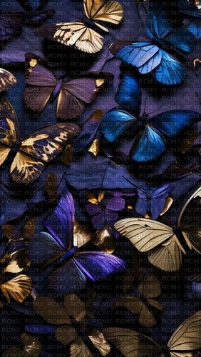 Butterfly - bezmaksas png