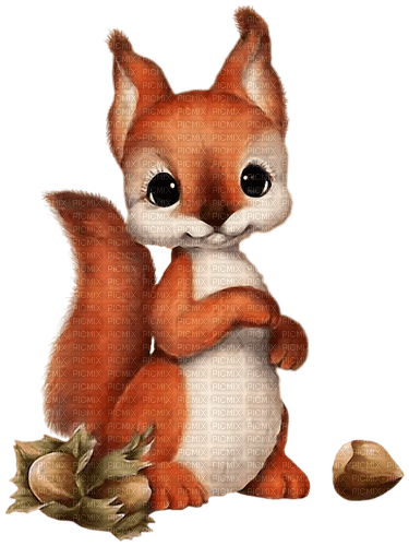 Squirrel Nuts - Bogusia - бесплатно png