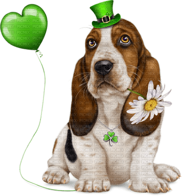 Kaz_Creations St.Patricks Day  Dogs Dog Pup - besplatni png