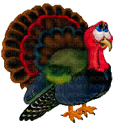 pavo thanksgiving gif dubravka4 - 無料のアニメーション GIF