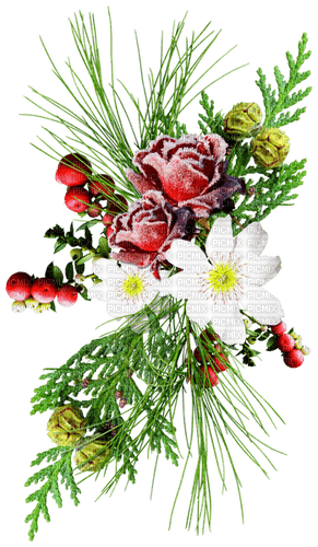 Christmas.Winter.Cluster.White.Green.Red - бесплатно png