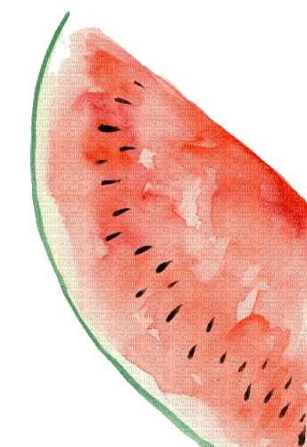 watermelon Bb2 - darmowe png
