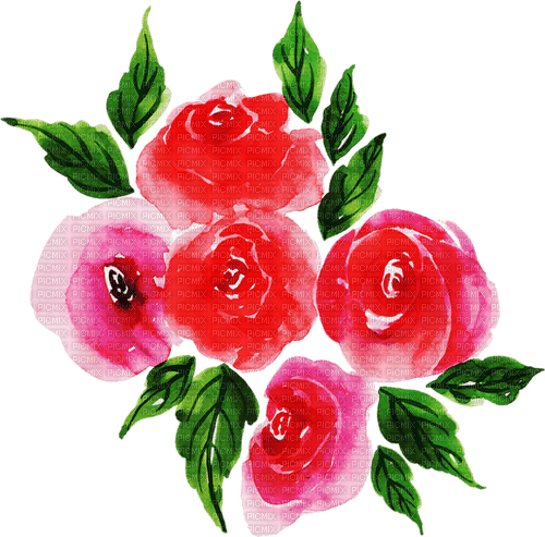 watercolor roses Bb2 - zadarmo png