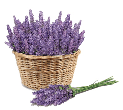 flowers purple bp - PNG gratuit
