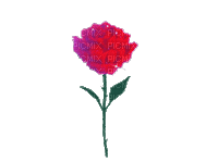Red Rose - Ingyenes animált GIF