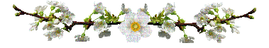Flower Decoration - Free animated GIF