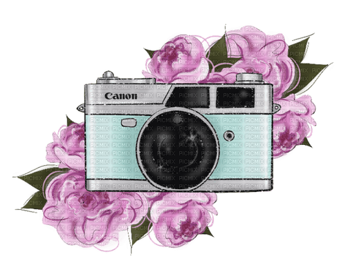 Camera - Bogusia - 免费PNG