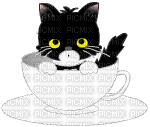 petit chat dans une tasse - GIF animé gratuit