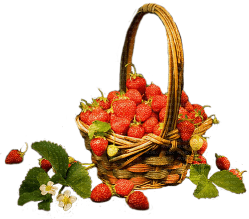 fraises - bezmaksas png