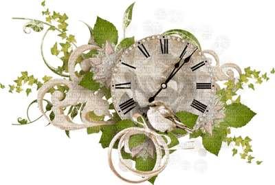patymirabelle horloge fleur - ingyenes png