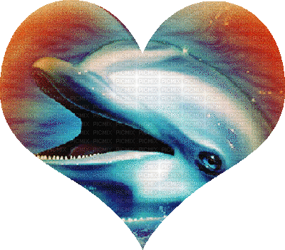 aze dauphin multicouleur multicolore multi-color - Gratis animerad GIF